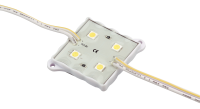 ������ 5050/4leds DC12V 6000-7000K IP65 12V